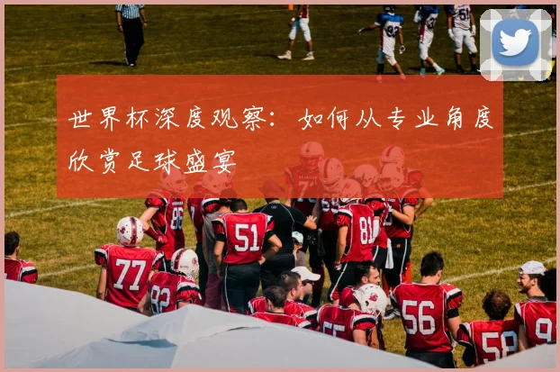 世界杯深度观察：如何从专业角度欣赏足球盛宴