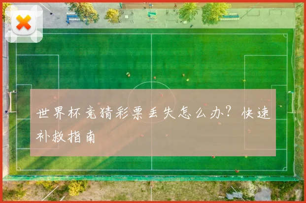 世界杯竞猜彩票丢失怎么办？快速补救指南